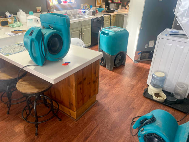 Best Commercial water damage restoration  in Lamont, CA