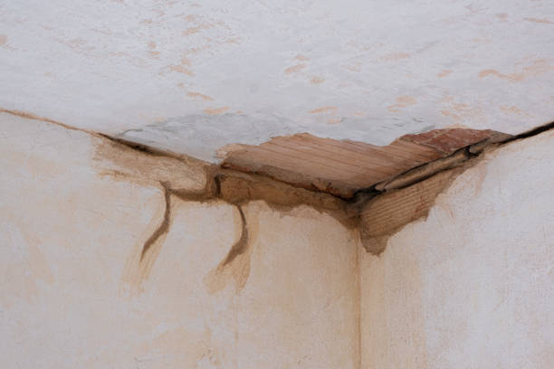 Reliable Lamont, CA Water damage restoration Solutions