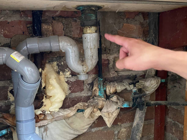 Best Ceiling water damage repair  in Lamont, CA
